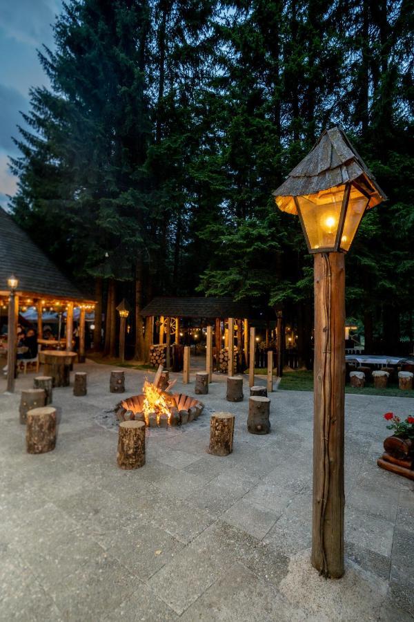 Pensiunea Sura Dacilor - Alex Poiana Brasov Exterior foto