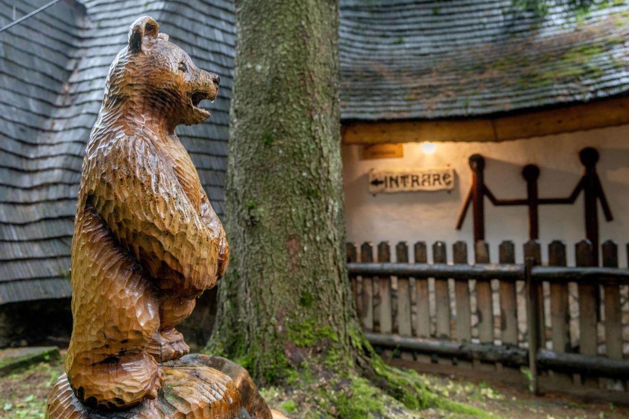 Pensiunea Sura Dacilor - Alex Poiana Brasov Exterior foto