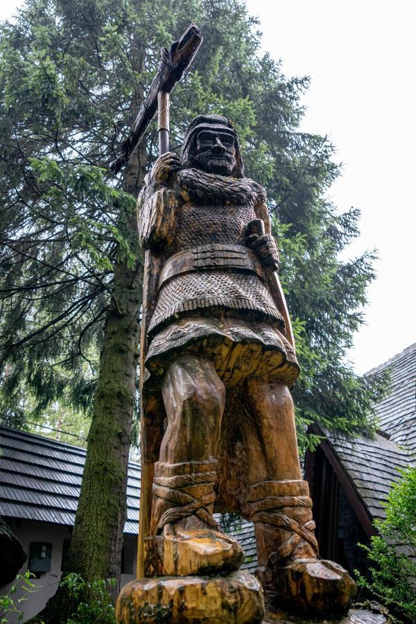 Pensiunea Sura Dacilor - Alex Poiana Brasov Exterior foto