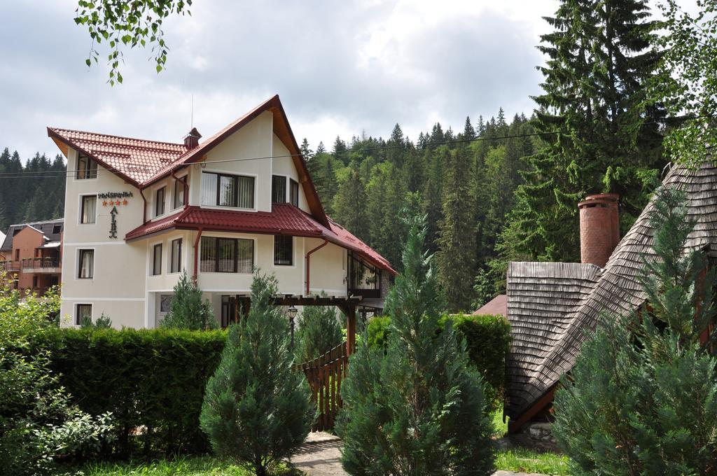 Pensiunea Sura Dacilor - Alex Poiana Brasov Exterior foto